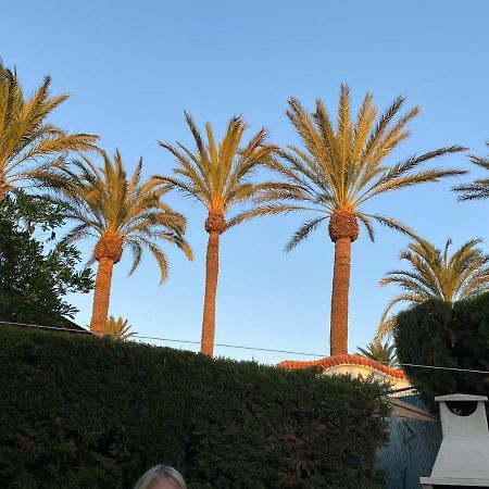 Gemuetliches Bungalow In Denia Spanien المظهر الخارجي الصورة